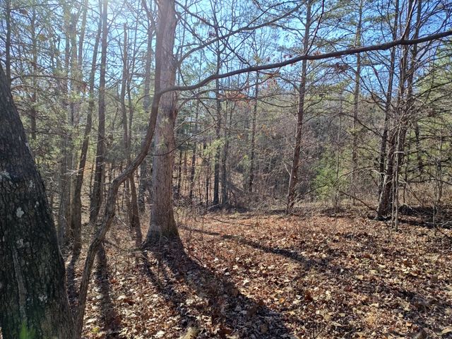0 Skyhigh Trail, Dunlap, TN 37327