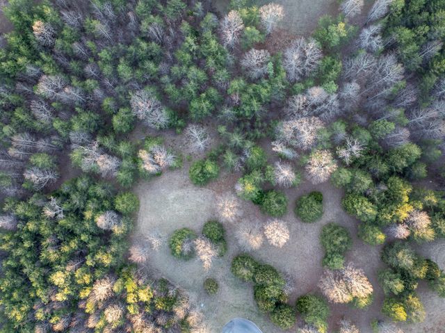 0 Skyhigh Trail, Dunlap, TN 37327