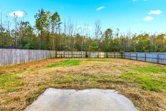 107 Blossom Court, Maple Hill, NC 28454