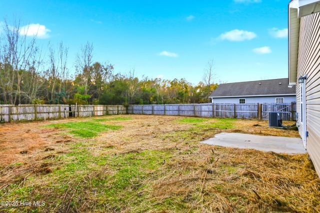 107 Blossom Court, Maple Hill, NC 28454