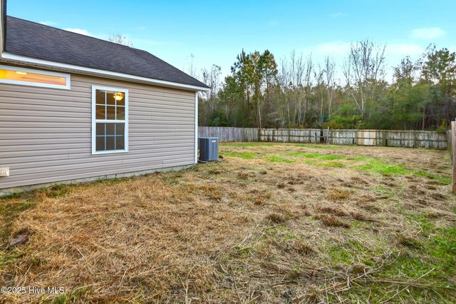 107 Blossom Court, Maple Hill, NC 28454