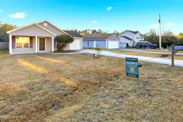 107 Blossom Court, Maple Hill, NC 28454