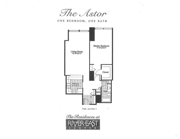 512 N MCCLURG Court 4606, Chicago, IL 60611