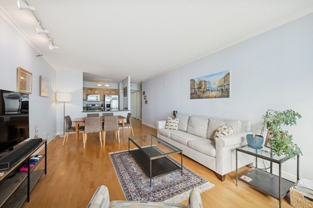 512 N MCCLURG Court 4606, Chicago, IL 60611