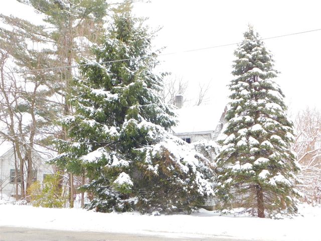 111 E Saint Marys Street, Decatur, MI 49045