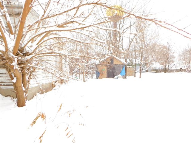 111 E Saint Marys Street, Decatur, MI 49045