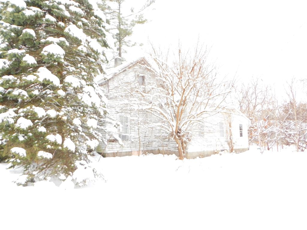 111 E Saint Marys Street, Decatur, MI 49045