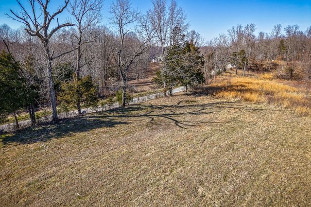 0 Backbone Rd, Smithville, TN 37166