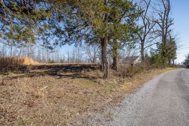 0 Backbone Rd, Smithville, TN 37166