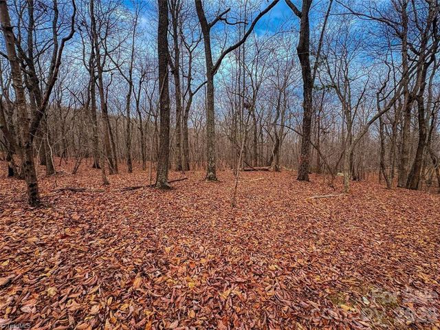 750 Palisade Trail, Denton, NC 27239