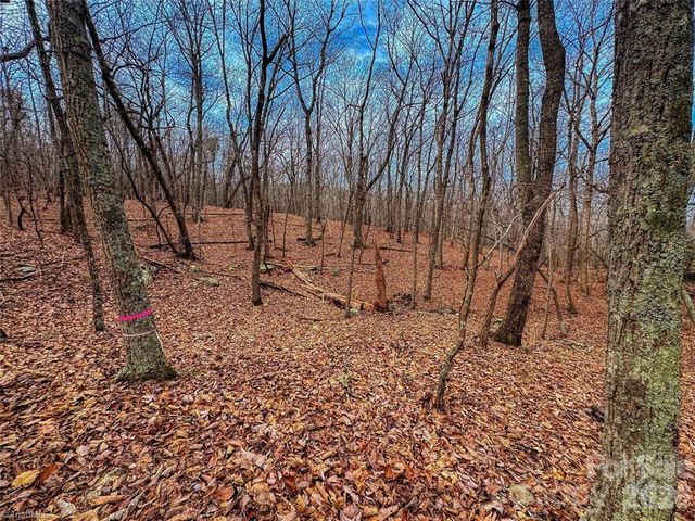 750 Palisade Trail, Denton, NC 27239
