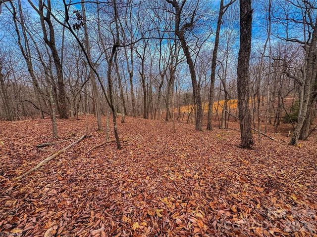750 Palisade Trail, Denton, NC 27239