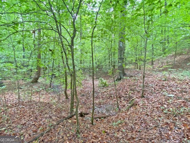 40.7AC Falling Pines Road, Dahlonega, GA 30533