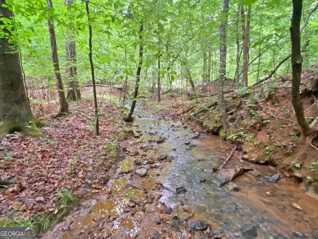 40.7AC Falling Pines Road, Dahlonega, GA 30533