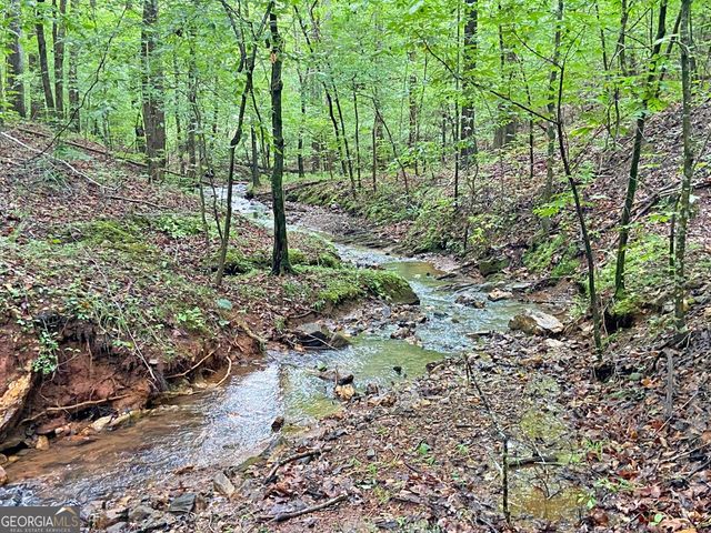 40.7AC Falling Pines Road, Dahlonega, GA 30533