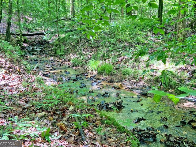 40.7AC Falling Pines Road, Dahlonega, GA 30533