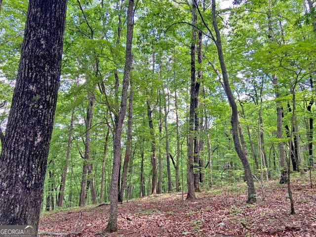 40.7AC Falling Pines Road, Dahlonega, GA 30533