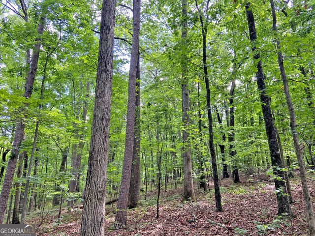 40.7AC Falling Pines Road, Dahlonega, GA 30533