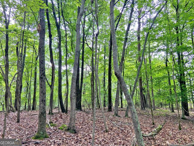 40.7AC Falling Pines Road, Dahlonega, GA 30533
