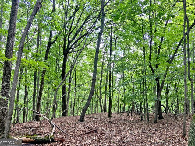40.7AC Falling Pines Road, Dahlonega, GA 30533