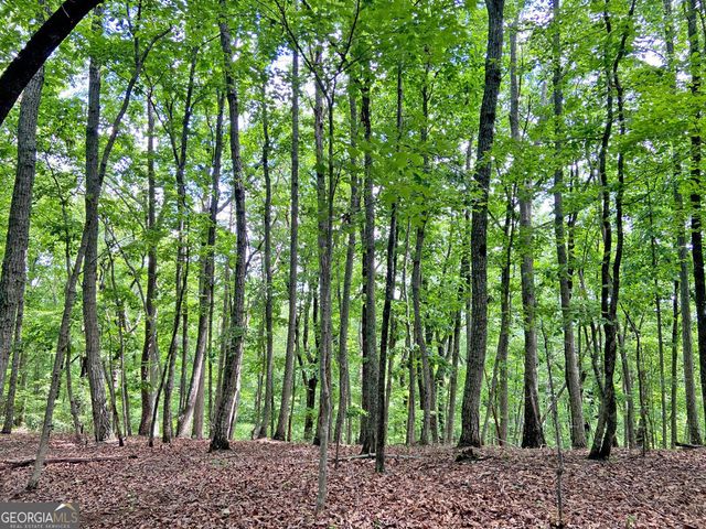 40.7AC Falling Pines Road, Dahlonega, GA 30533