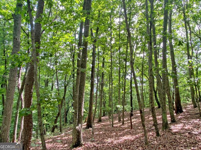 40.7AC Falling Pines Road, Dahlonega, GA 30533