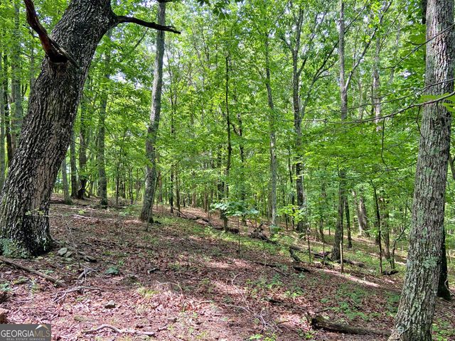 40.7AC Falling Pines Road, Dahlonega, GA 30533