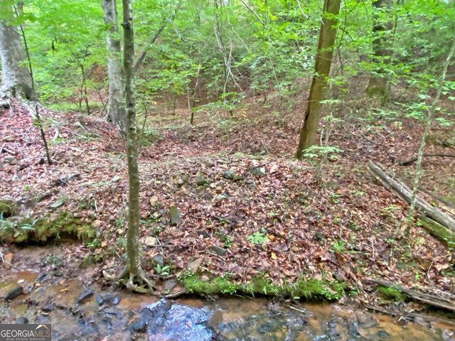 40.7AC Falling Pines Road, Dahlonega, GA 30533