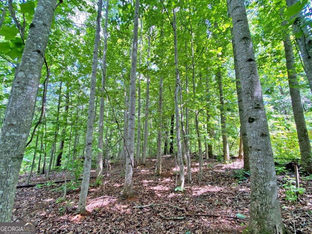 40.7AC Falling Pines Road, Dahlonega, GA 30533