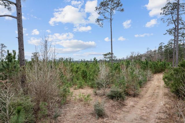 9422 Farm To Market 62, Corrigan, TX 75939