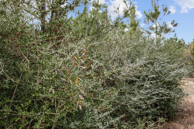 9422 Farm To Market 62, Corrigan, TX 75939