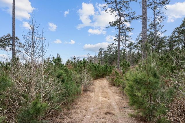 9422 Farm To Market 62, Corrigan, TX 75939