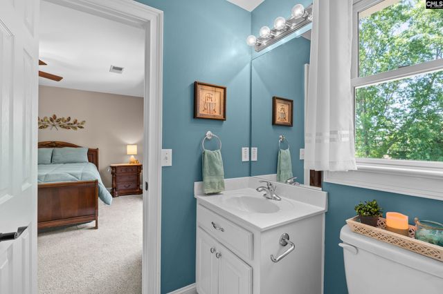 120 Tapp Pointe, Chapin, SC 29036