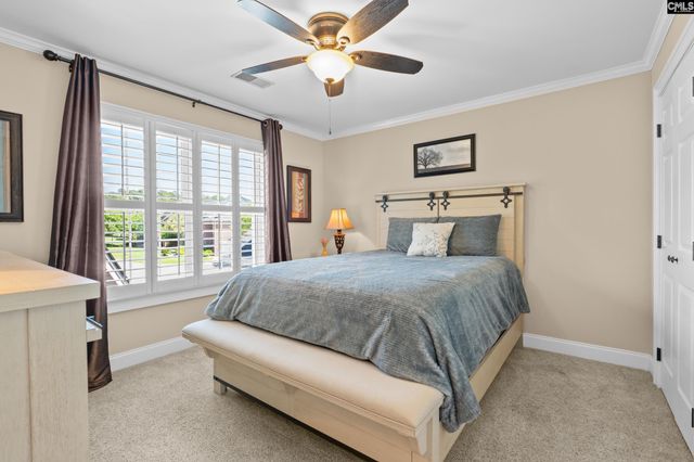 120 Tapp Pointe, Chapin, SC 29036