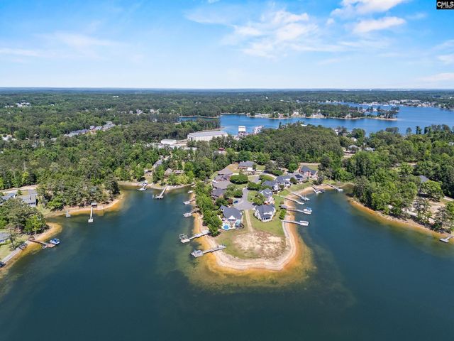 120 Tapp Pointe, Chapin, SC 29036