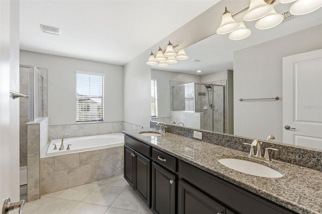 11014 LITTLE BLUE HERON DRIVE, Riverview, FL 33579