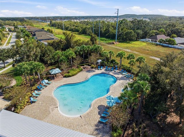 11014 LITTLE BLUE HERON DRIVE, Riverview, FL 33579