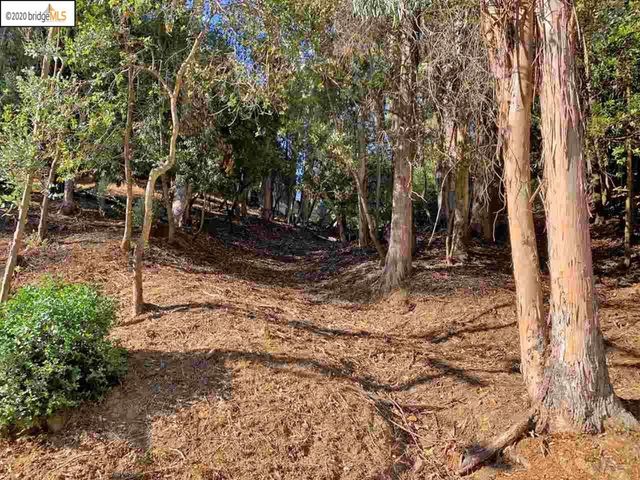 6696 Moore Dr, Oakland, CA 94611