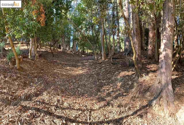 6696 Moore Dr, Oakland, CA 94611