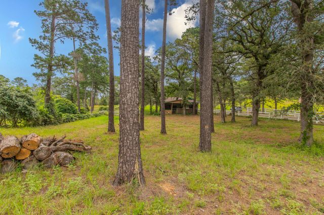136 Redbird LN, Smithville, TX 78957