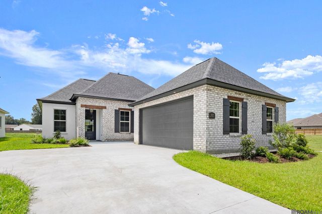 36259 Belle Parc Ave, Geismar, LA 70734