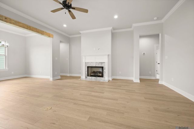 36259 Belle Parc Ave, Geismar, LA 70734