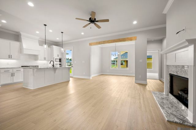 36259 Belle Parc Ave, Geismar, LA 70734