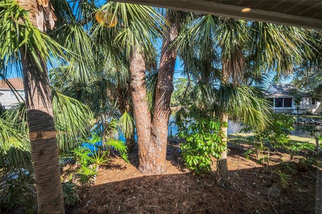 1012 OSPREY COURT, Tarpon Springs, FL 34689