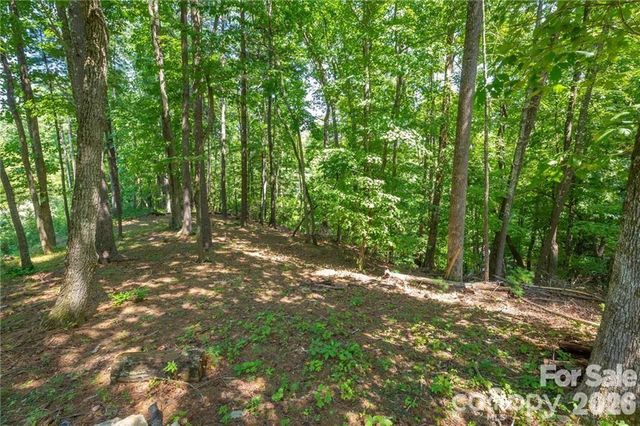 8520 Indian Trace, Nebo, NC 28761