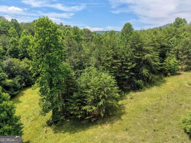 LOT 13 Porter Place, Blairsville, GA 30512