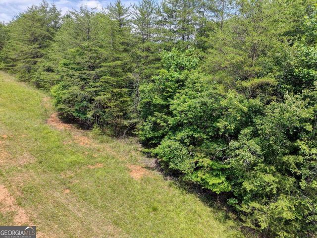 LOT 13 Porter Place, Blairsville, GA 30512