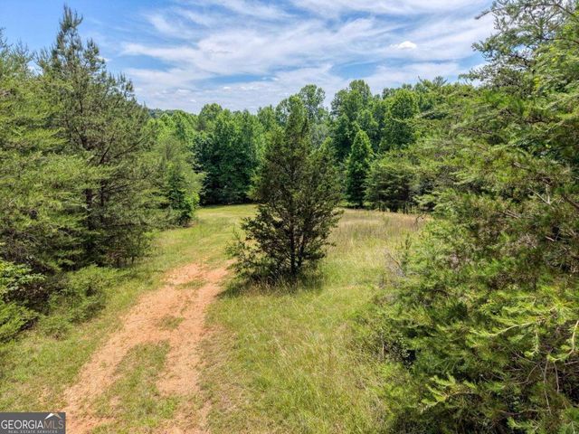 LOT 13 Porter Place, Blairsville, GA 30512