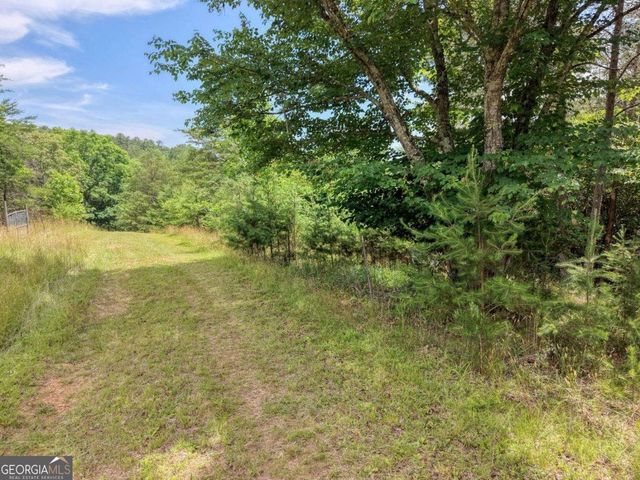LOT 13 Porter Place, Blairsville, GA 30512
