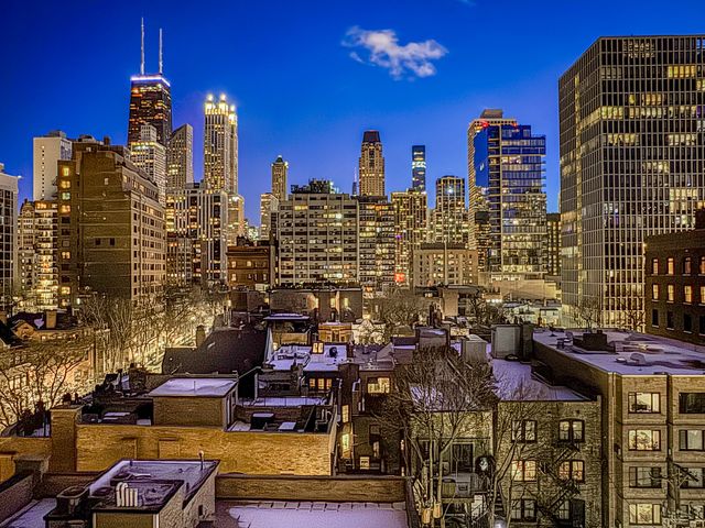 1260 N Astor Street 7, Chicago, IL 60610
